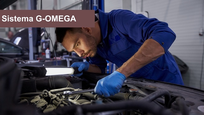 Sistema Grátis G-OMEGA
