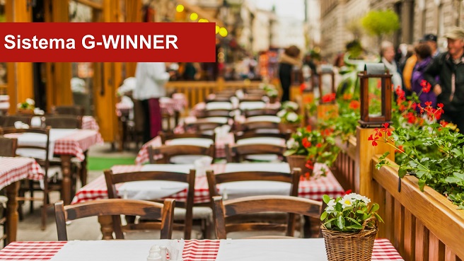 Sistema Grátis G-WINNER